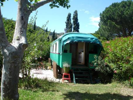 L'Amandari - Chambres D'Hotes Le Plan-de-la-Tour Zewnętrze zdjęcie